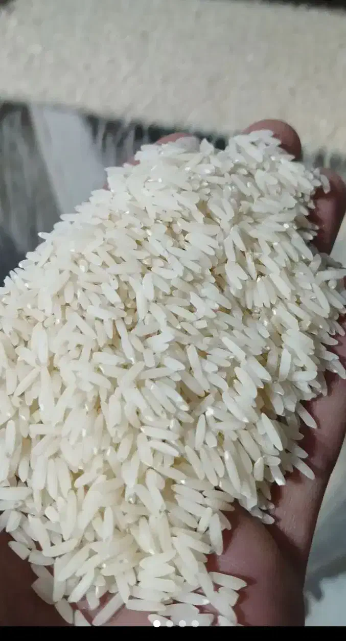 برنج هاشمی درجه یک|خوردنی و آشامیدنی|چمستان, |دیوار