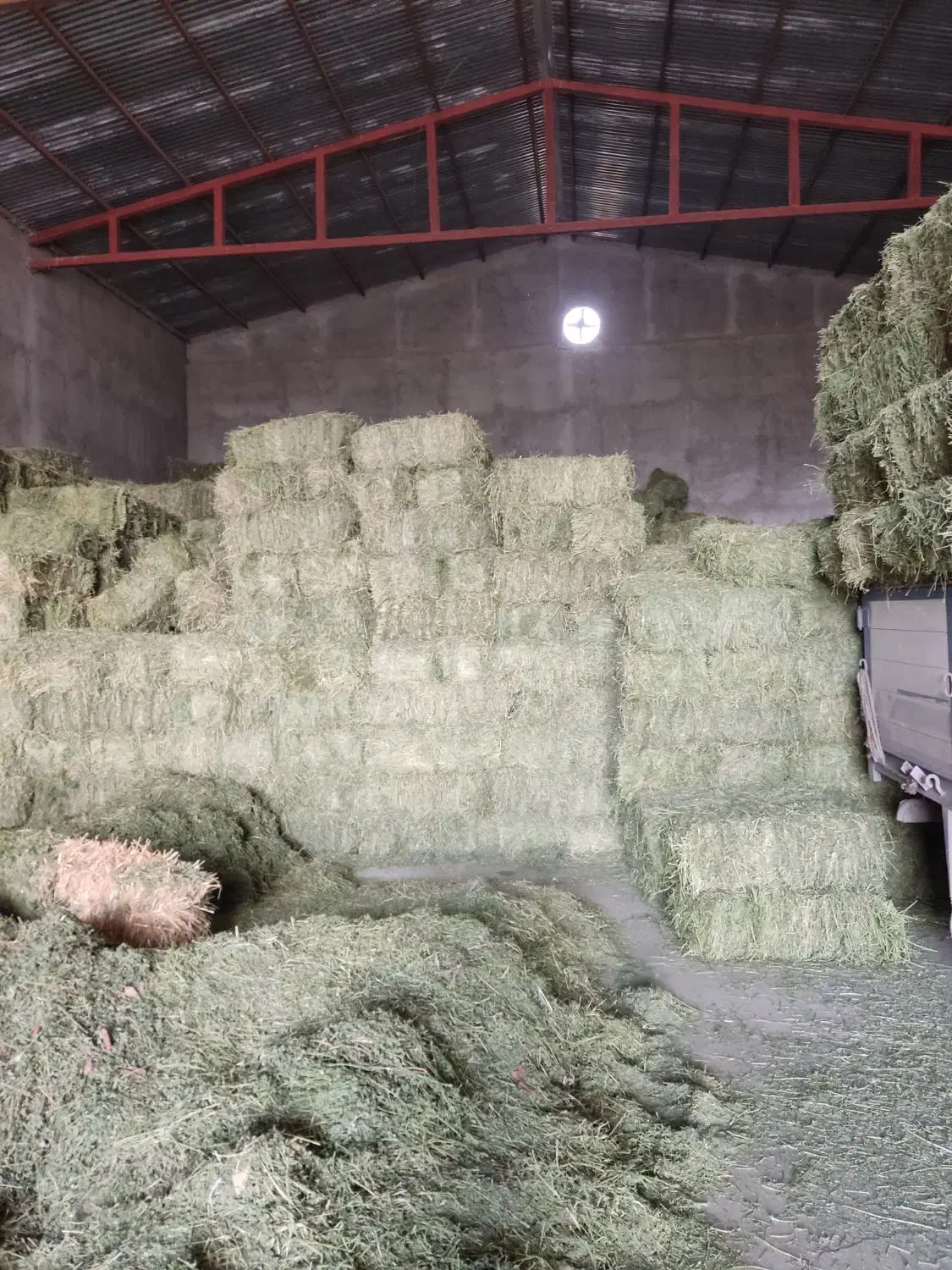 یونجه انباری چین 3و 4خشک درجه یک|عمده‌فروشی|هشتگرد, هشتگرد قدیم|دیوار