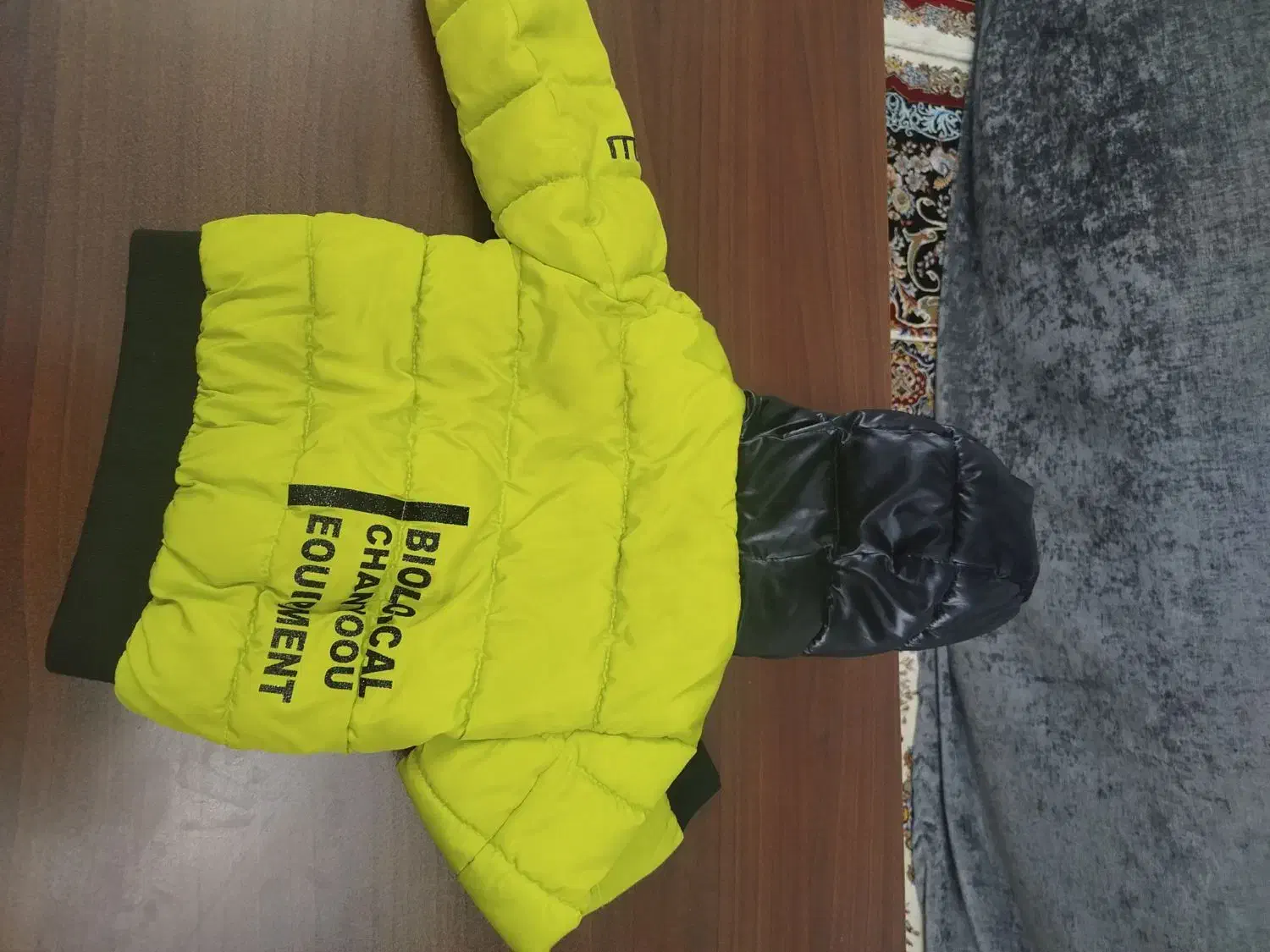 کاپشن داخل پشم شیشه|لباس|محمدشهر, همایون ویلا|دیوار