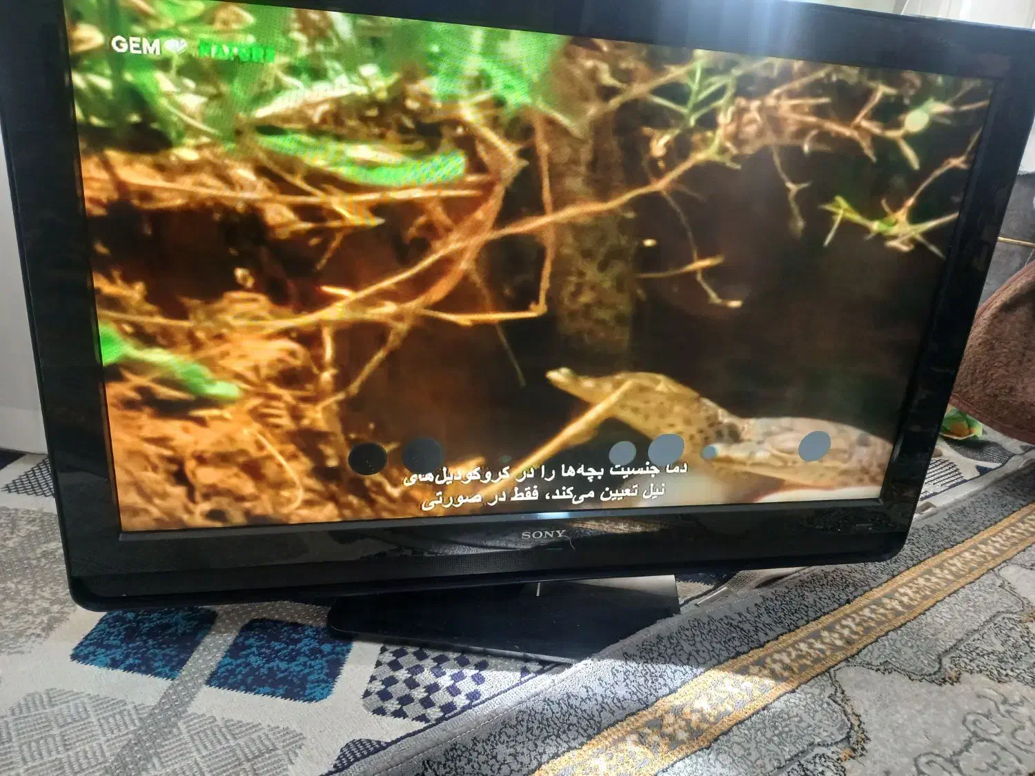 تلویزیون سونی براویا|تلویزیون و پروژکتور|قم, یزدان‌شهر|دیوار