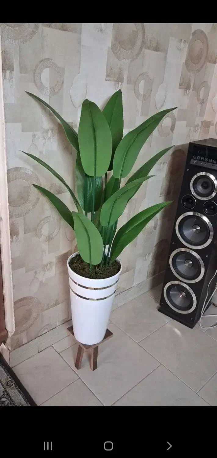 گل درختچه مصنوعی|گل مصنوعی|خنداب, |دیوار