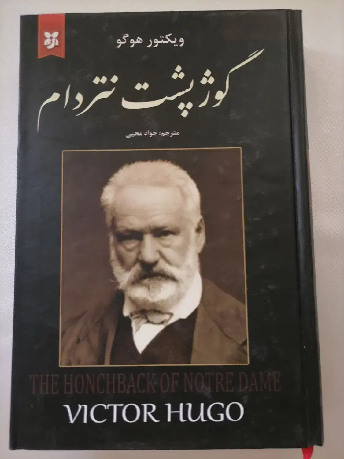 گوژپشت نتردام|کتاب و مجله ادبی|قم, چهار مردان|دیوار