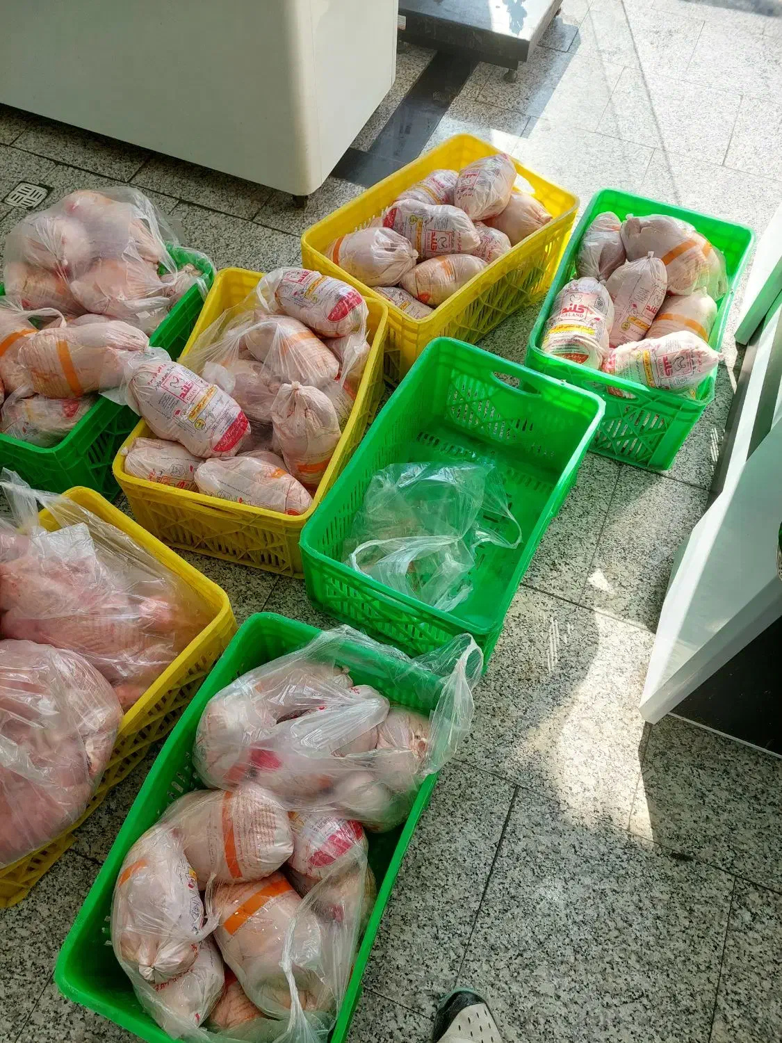 توزیع مرغ شمال|خوردنی و آشامیدنی|قم, پامنار|دیوار