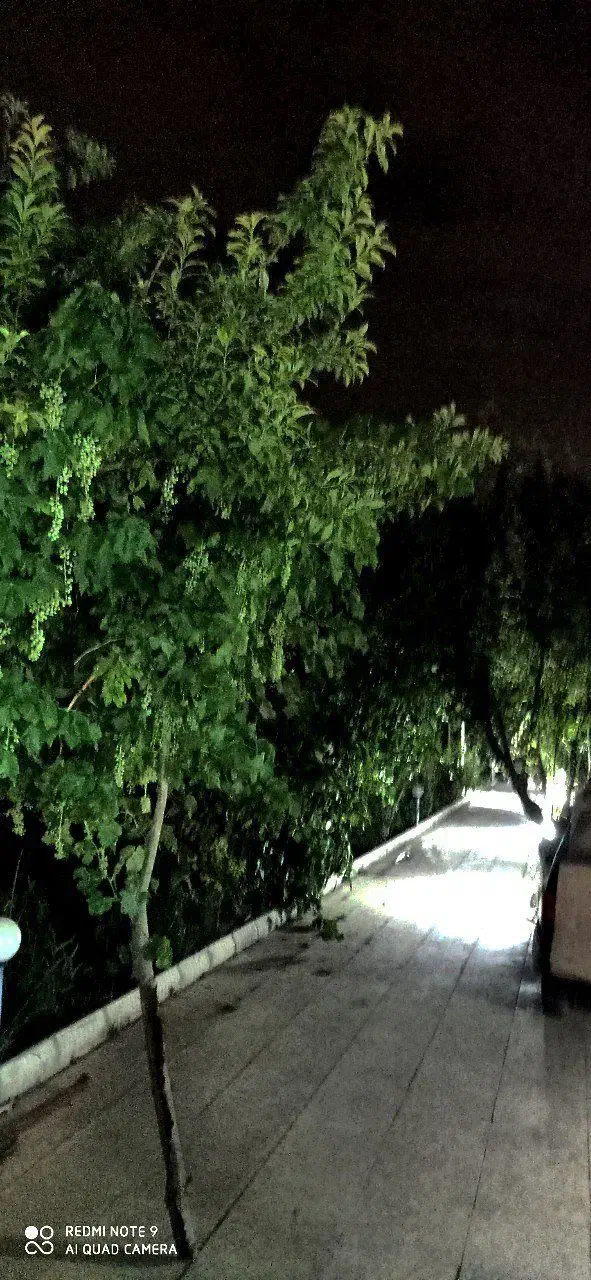 هشتگرد فروش باغ ویلای ۸۳۵ متری|فروش خانه و ویلا|هشتگرد, هشتگرد قدیم|دیوار