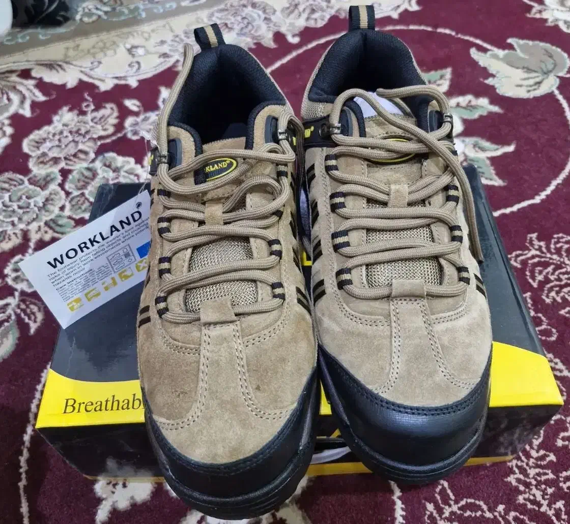 کفش ایمنی|کیف، کفش، کمربند|اهواز, بهارستان|دیوار