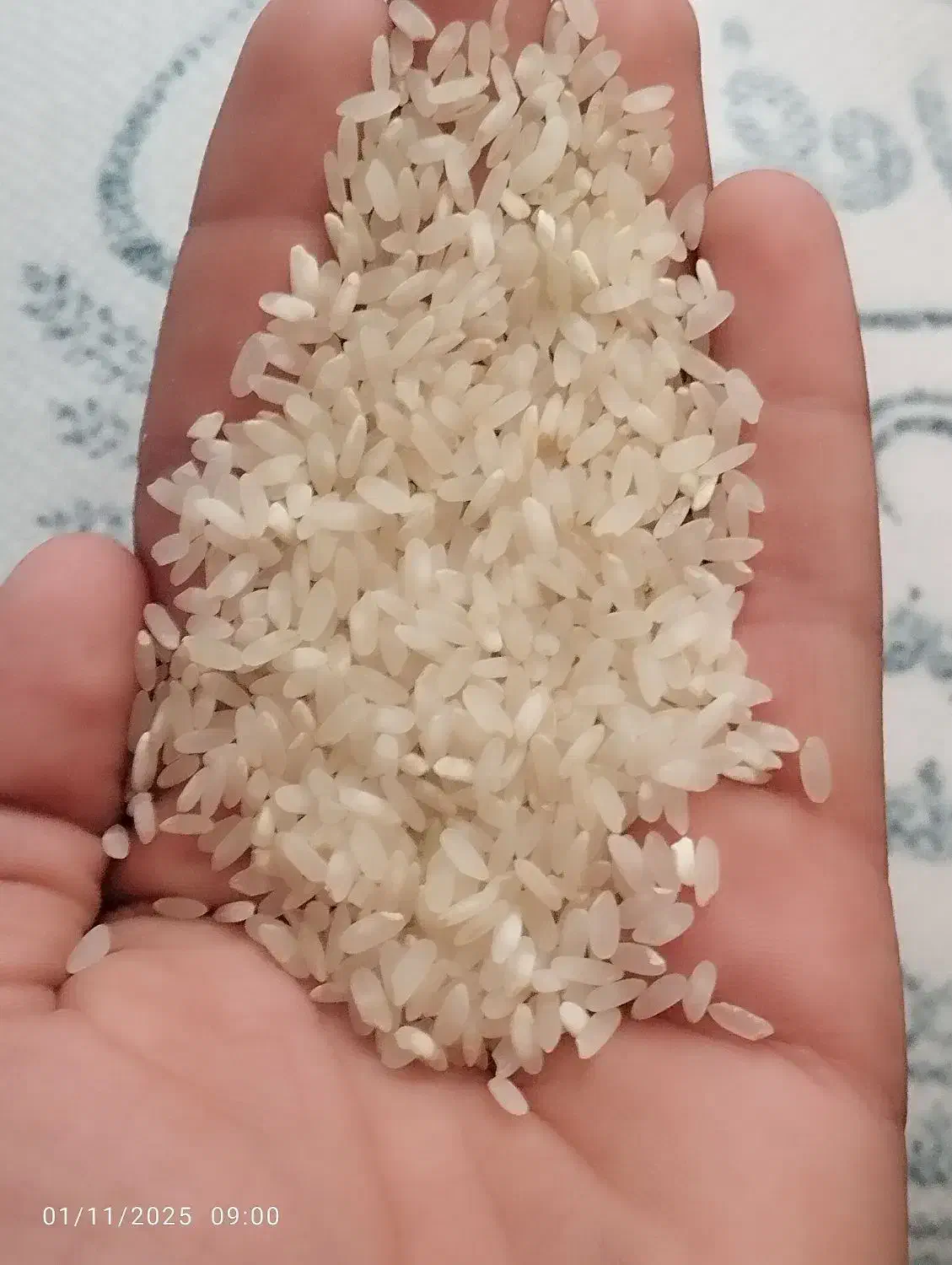 برنج کامفیروزی|خوردنی و آشامیدنی|کر, |دیوار