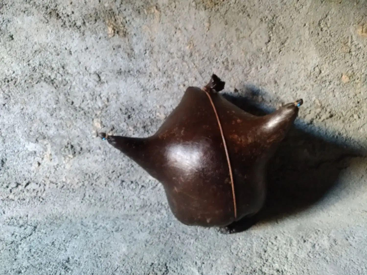 یک عددهیزه جاروغن دان|ابزارآلات|بیستون, |دیوار