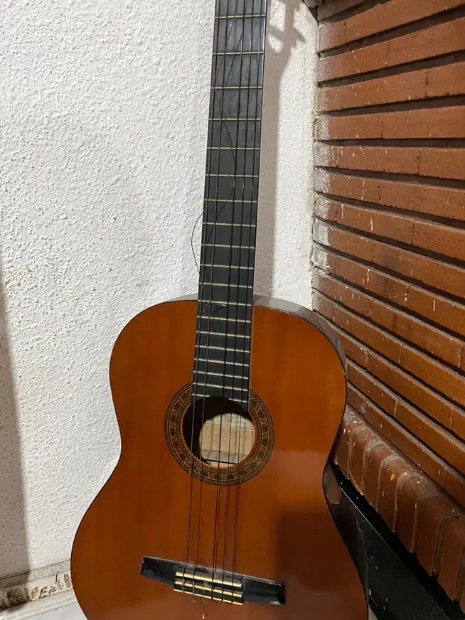 گیتار برند ولنسیا|گیتار، بیس، امپلیفایر|نور, |دیوار