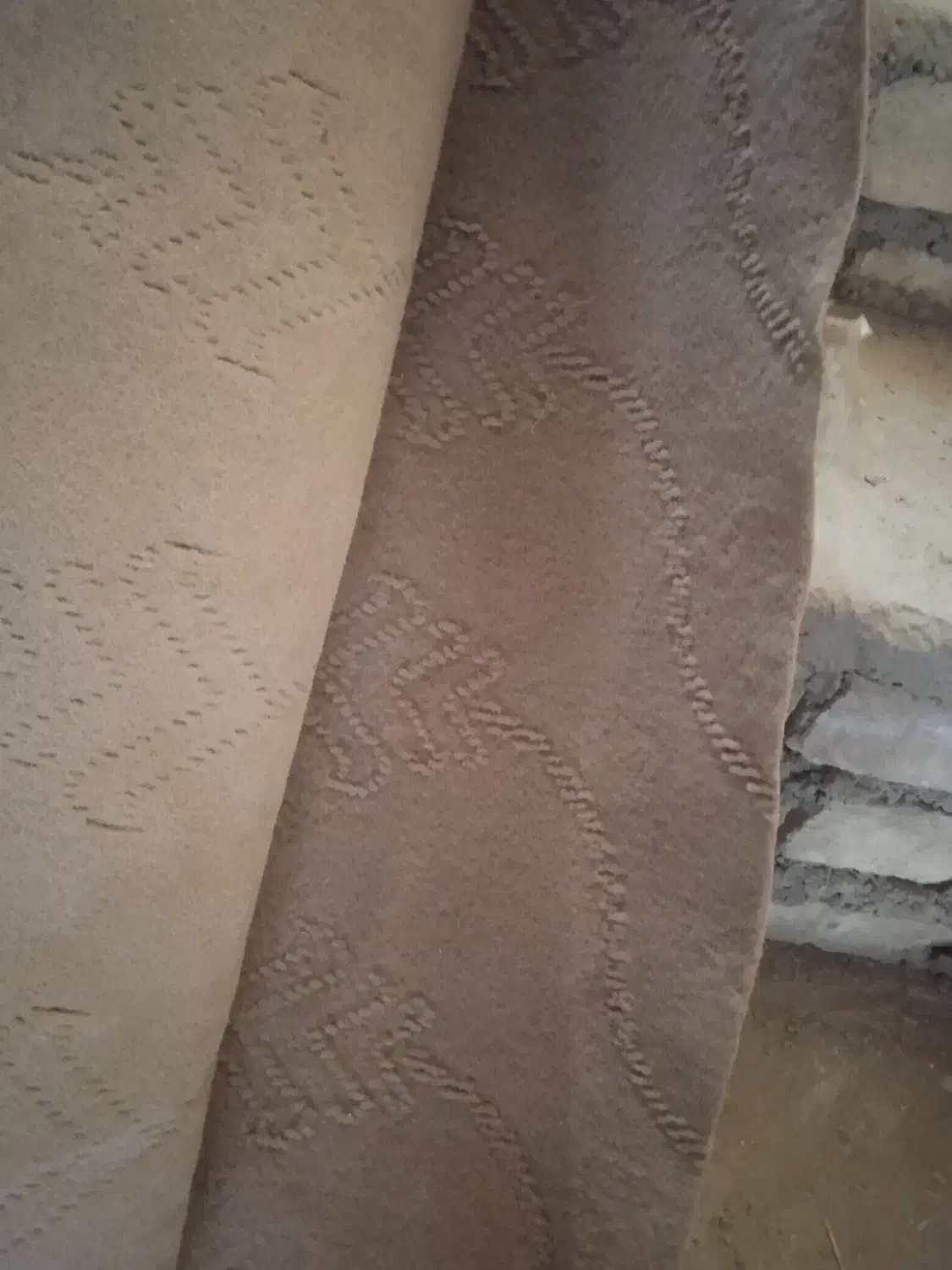 موکت سالم ارزان|موکت|یزد, |دیوار