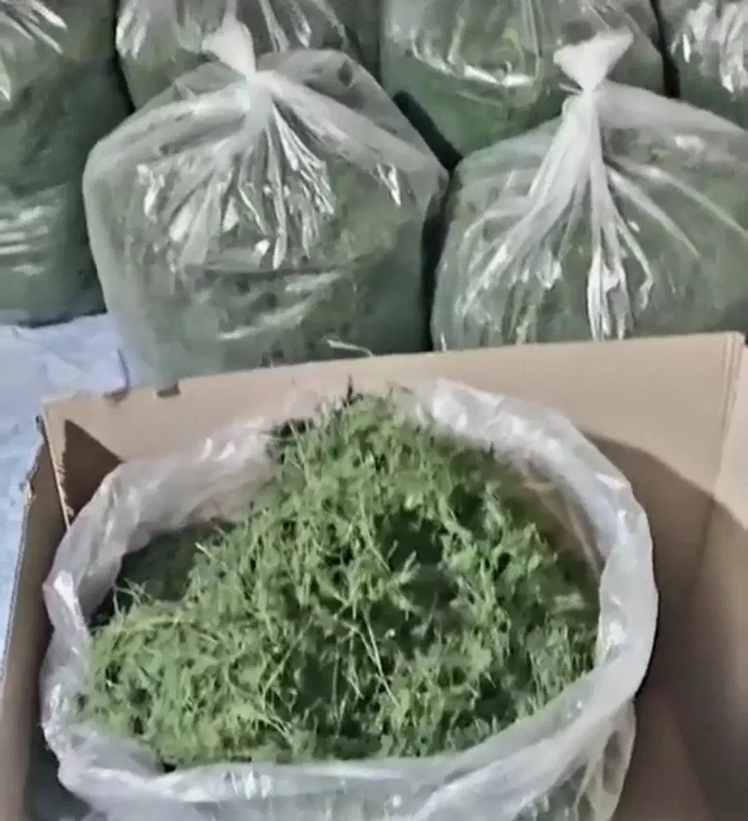 سبزی خشک درجه یک|خوردنی و آشامیدنی|قم, بلوار امین و ساحلی|دیوار