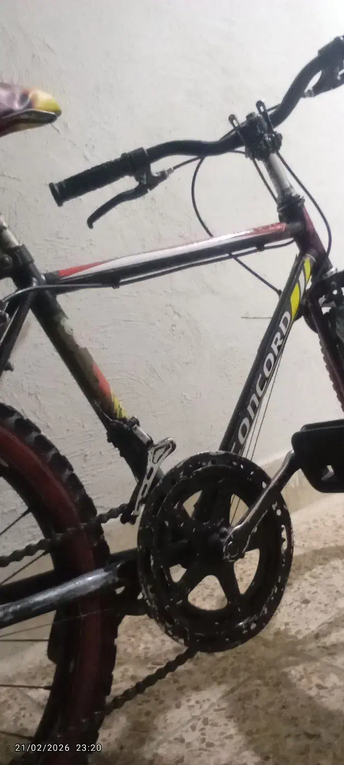 دوچرخه 20|دوچرخه، اسکیت، اسکوتر|تهران, وحیدیه|دیوار