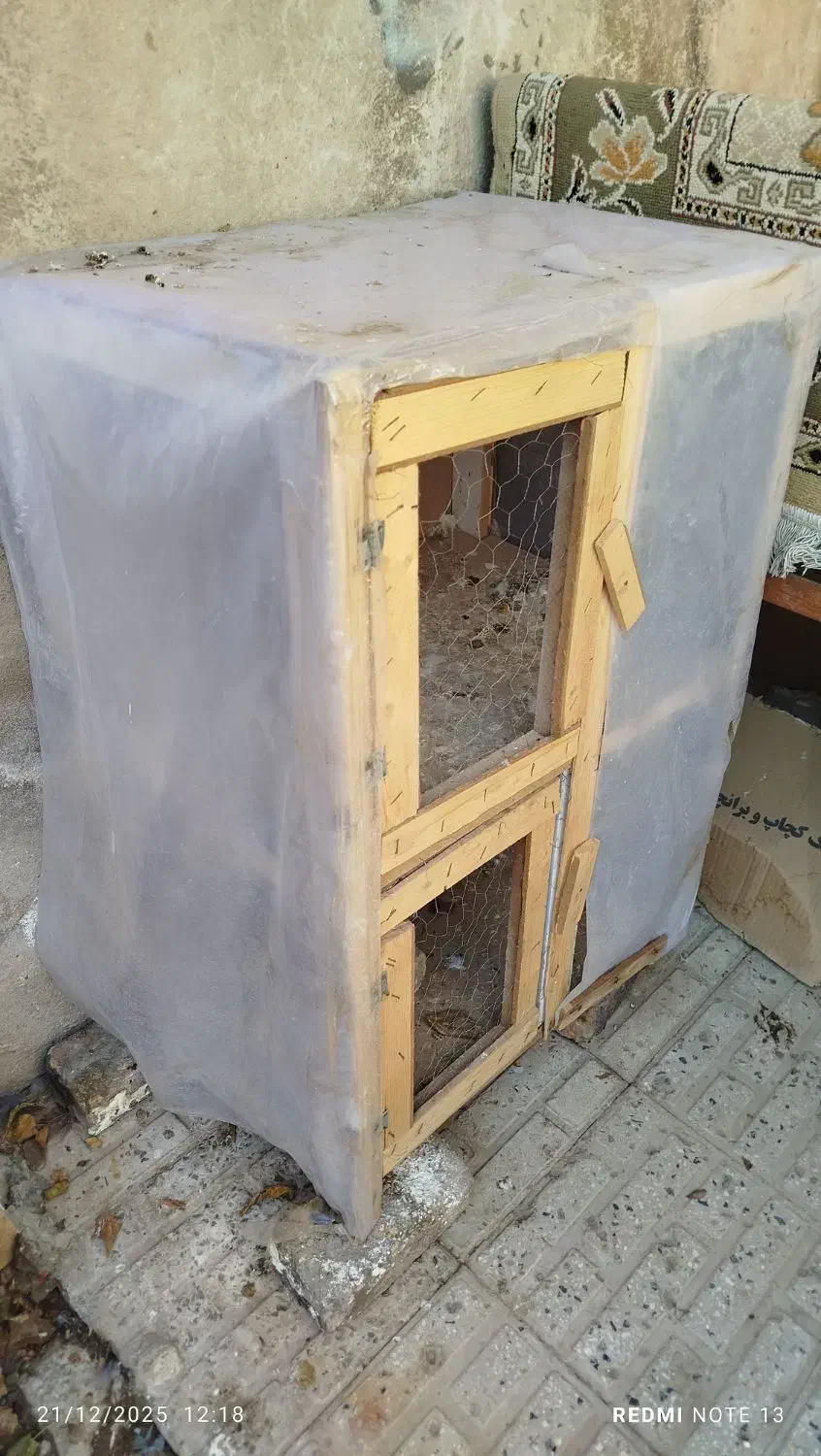 قفس دو طبقه|پرنده|قرچک, ولی آباد|دیوار