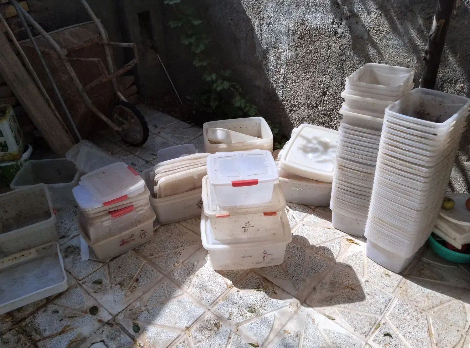 باکس شفاف|ظروف نگهدارنده، پلاستیکی، یکبارمصرف|تربتحیدریه, منظر|دیوار