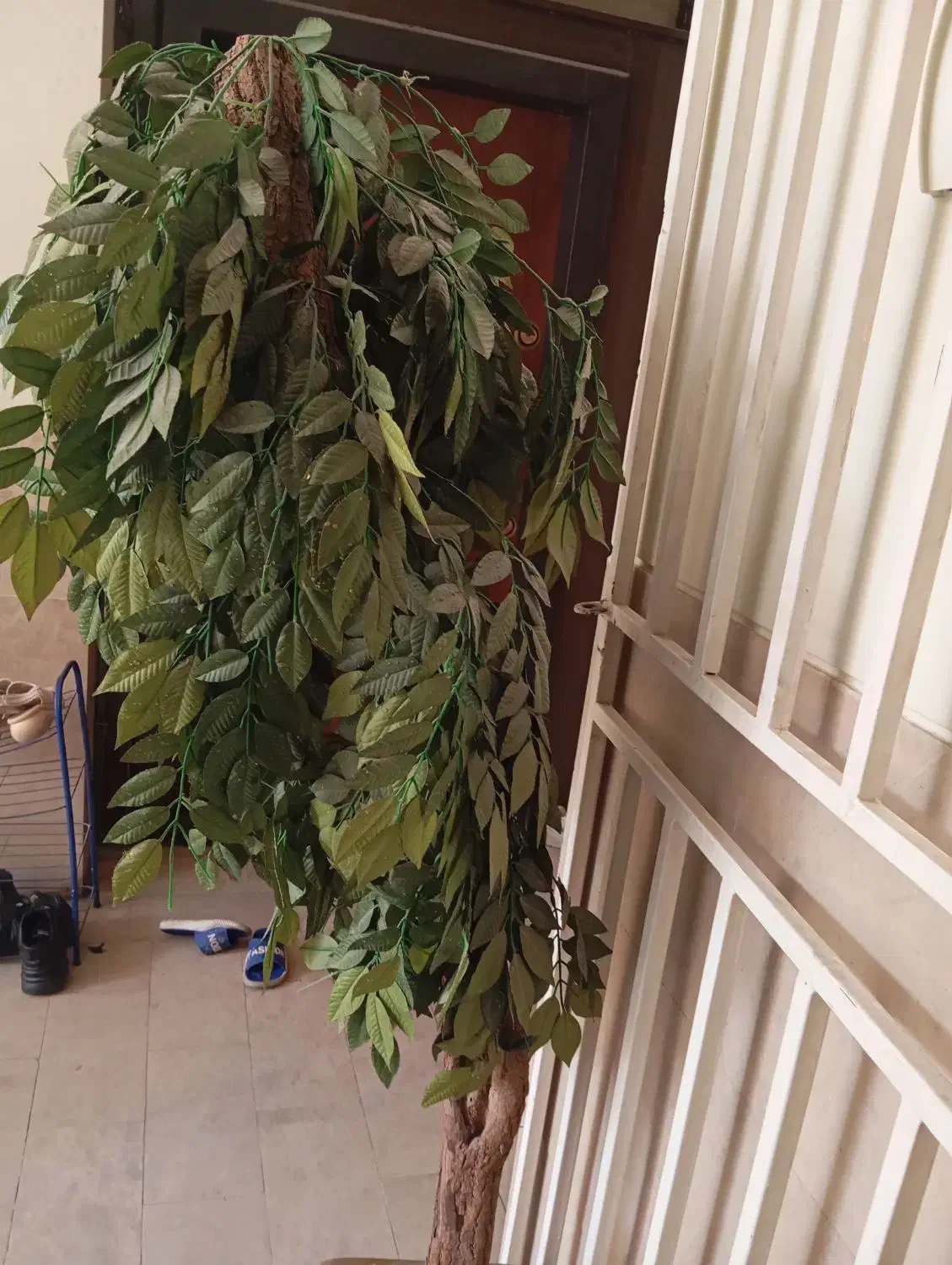 درختچه تزیینی|گل مصنوعی|فولادشهر, B7|دیوار