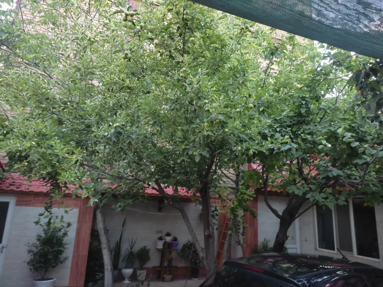 ویلایی|فروش خانه و ویلا|مشهد, هفت تیر (نه دره)|دیوار