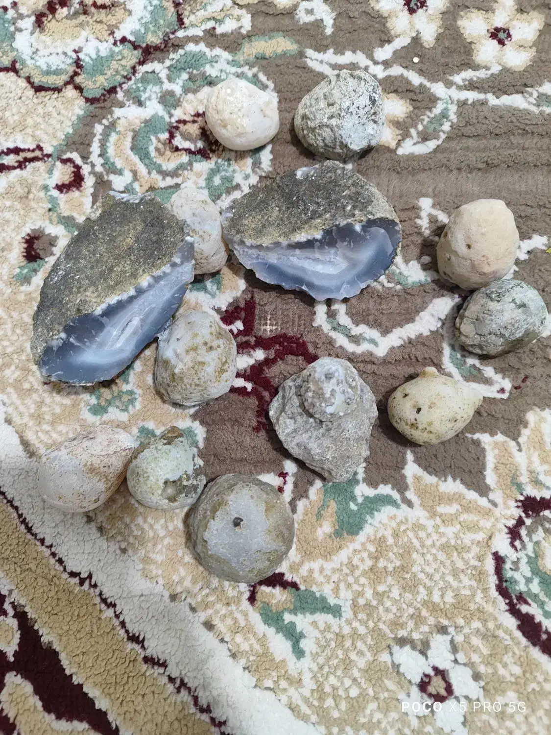 سنگ خاص|کلکسیون اشیاء عتیقه|بندر کنگان, |دیوار