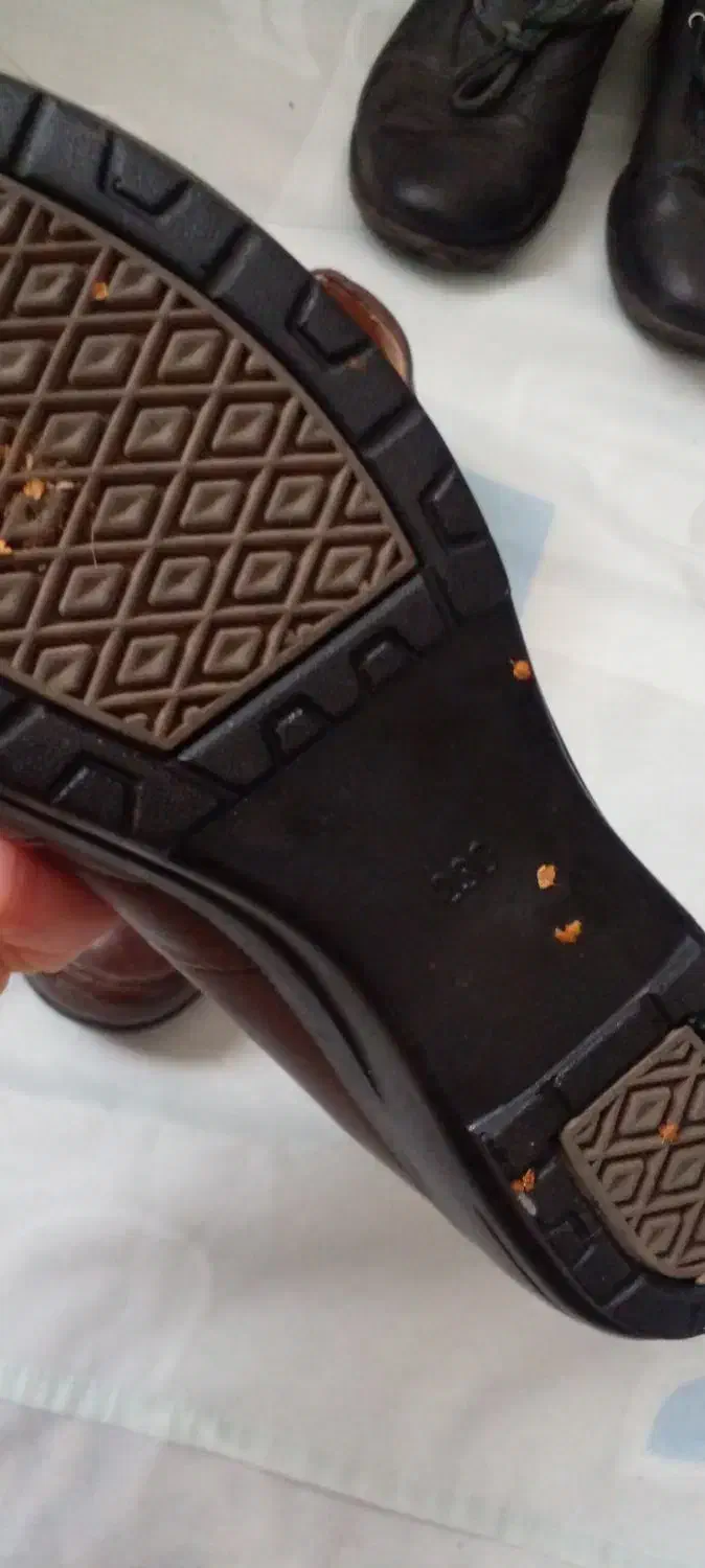 چن جفت کفش چرم اصل در حد نو سایز ۳۷|کیف، کفش، کمربند|رشت, منظریه|دیوار