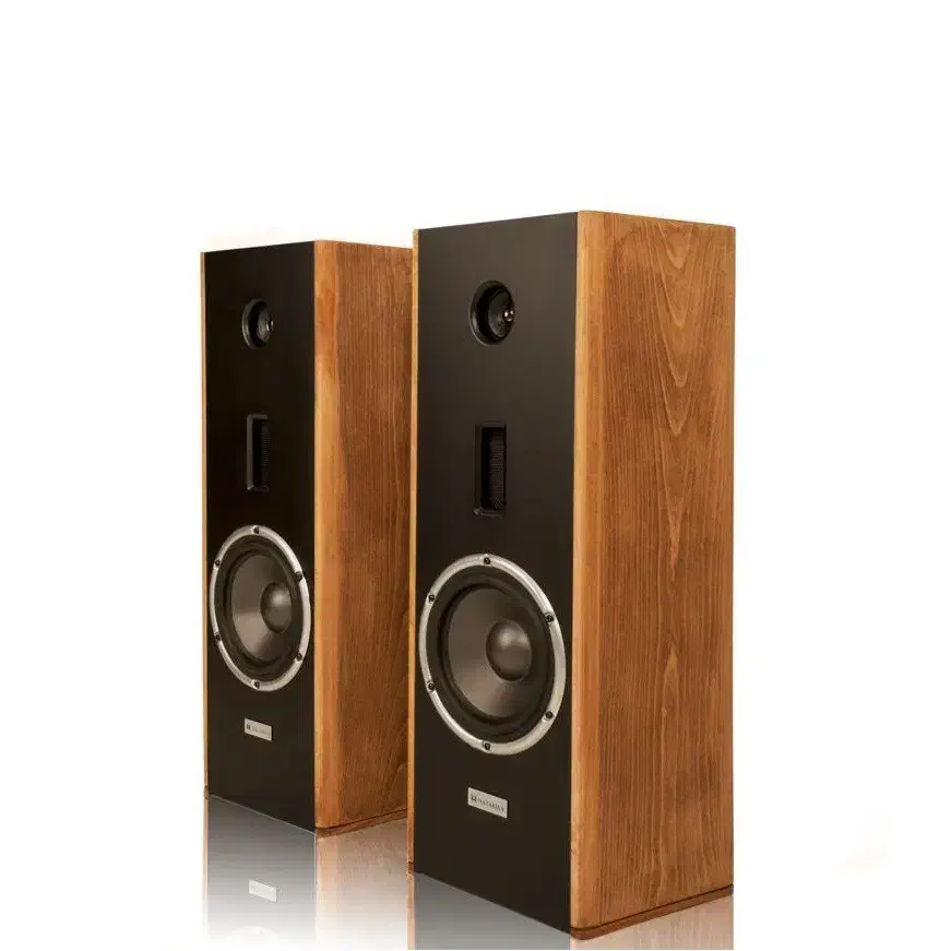 اسپیکر خانگی ـ طراحی کلاسیک با صدایی مدرن|سیستم صوتی خانگی|تهران, بلوار کشاورز|دیوار