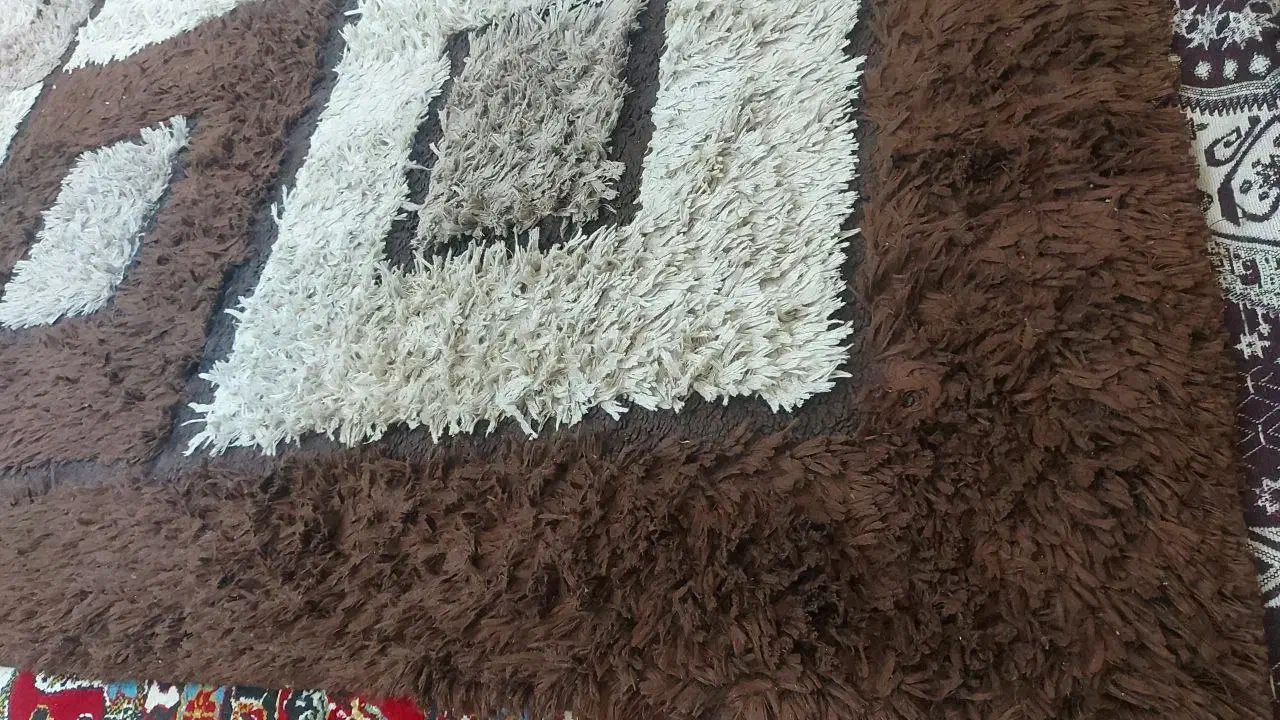 پالاز . فرش ۶ متری|فرش|مشهد, چهارچشمه|دیوار