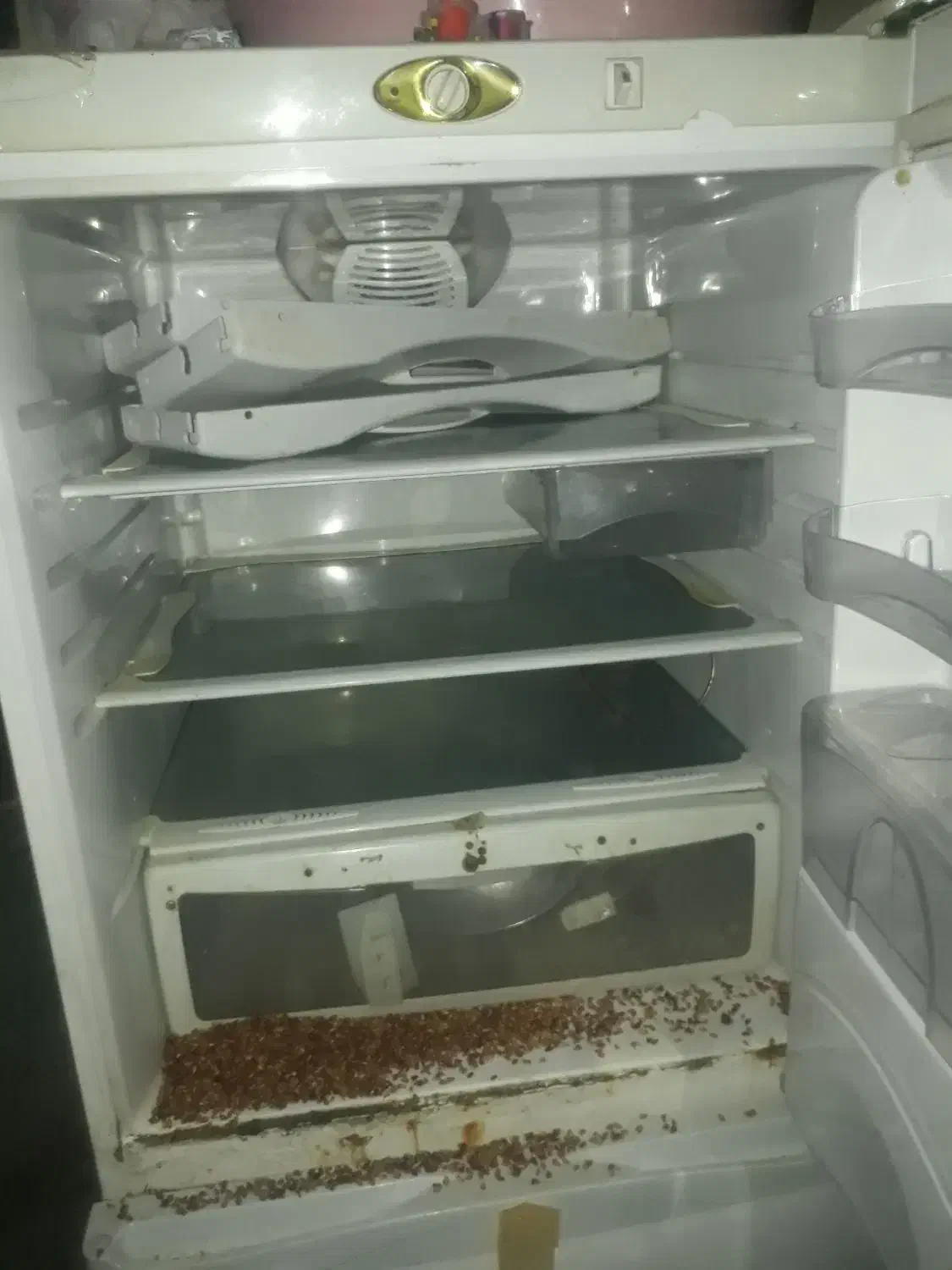 یخچال فریزر سالم بدنه موتور سالم|یخچال و فریزر|فیروزآباد (فارس), |دیوار