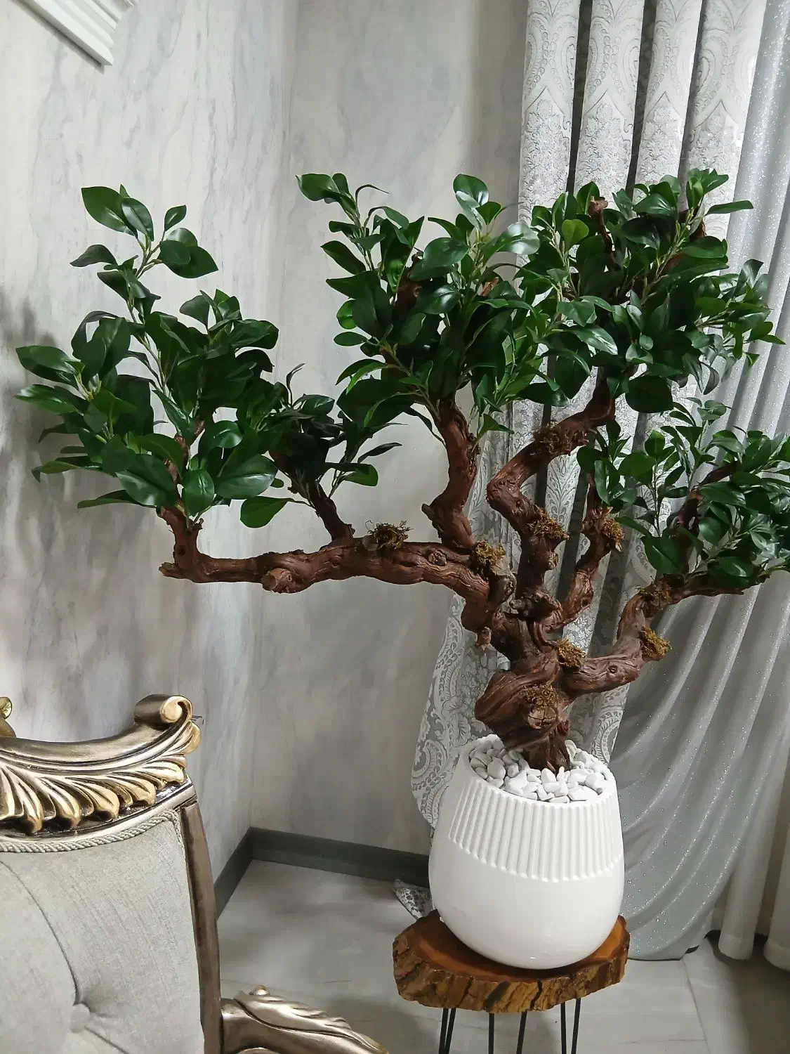 درختچه بونسای مصنوعی|گل مصنوعی|شهریار, رضی آباد بالا|دیوار