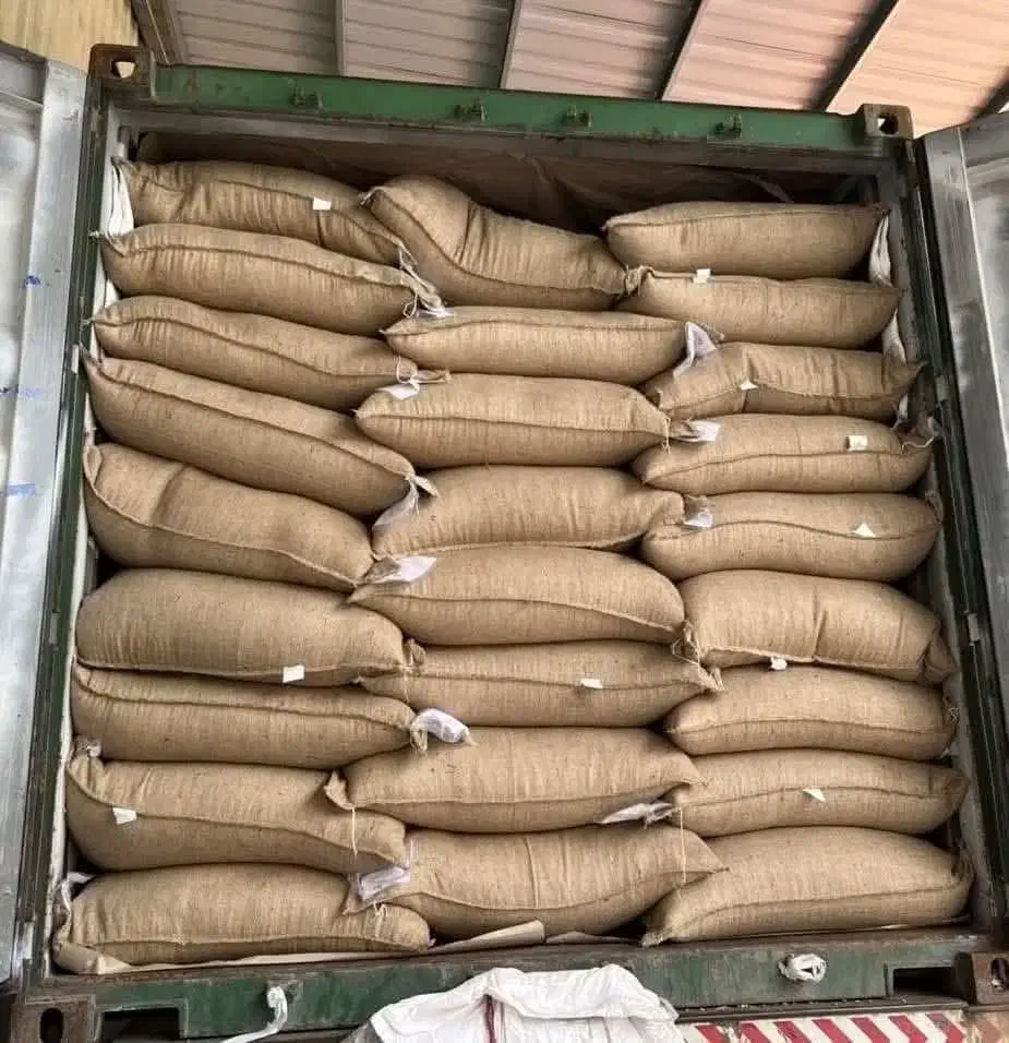 فروش و واردات دانه سبز EP1|عمدهفروشی|تهران, اوین|دیوار