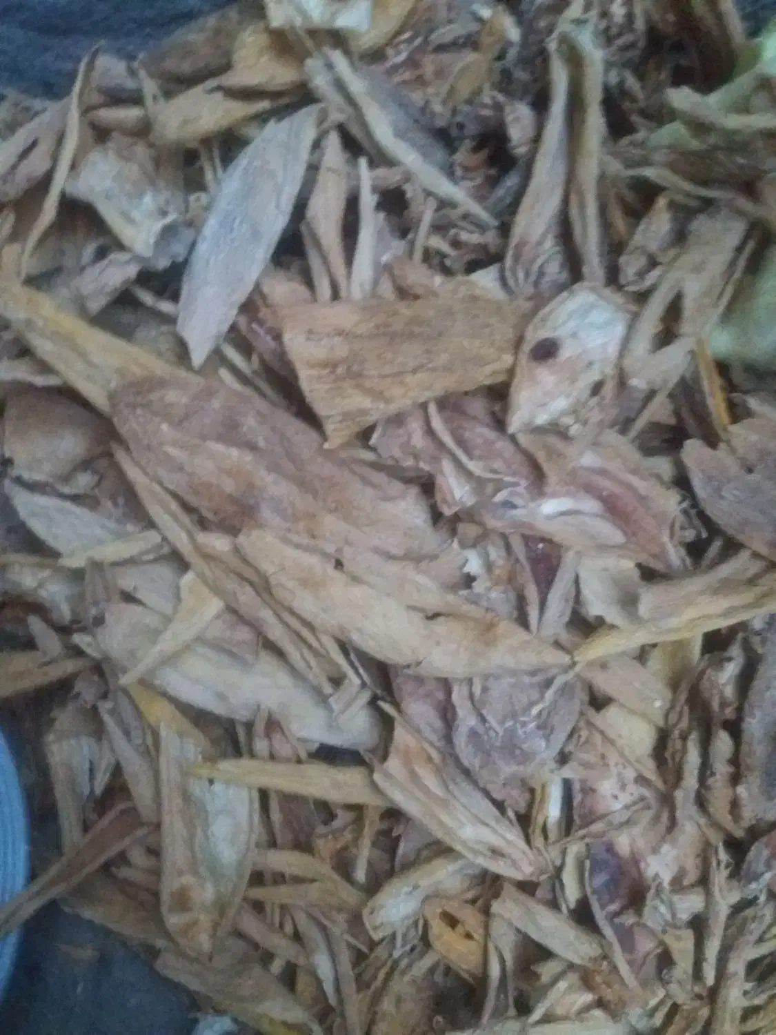 پوست خربزه خشک و خار|خوردنی و آشامیدنی|تربت جام, یحیی آباد|دیوار