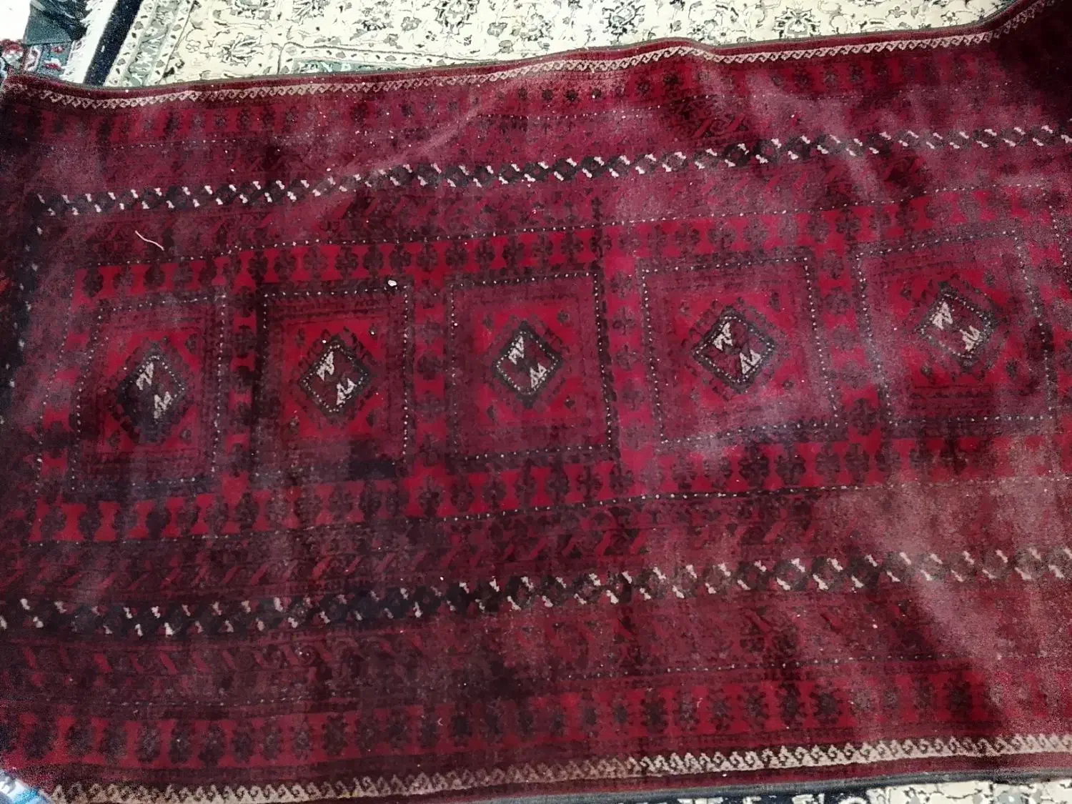 قالیچه زمینی|فرش|نیشابور, امام خمینی|دیوار