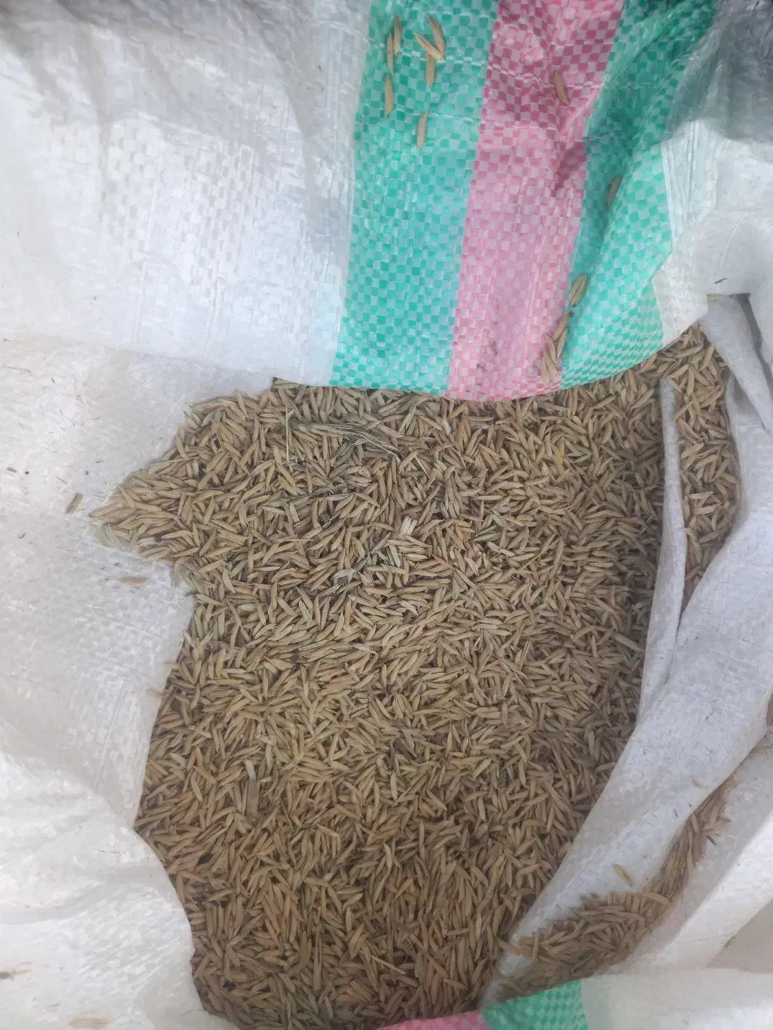 شالی فجر|خوردنی و آشامیدنی|کلاله, |دیوار