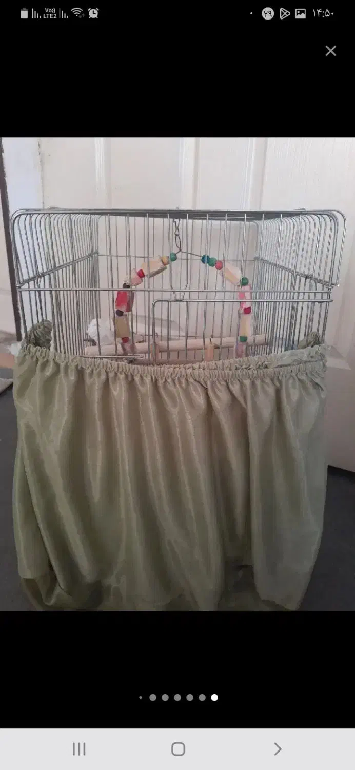 قفس پرنده|لوازم جانبی حیوانات|مشکیندشت, |دیوار