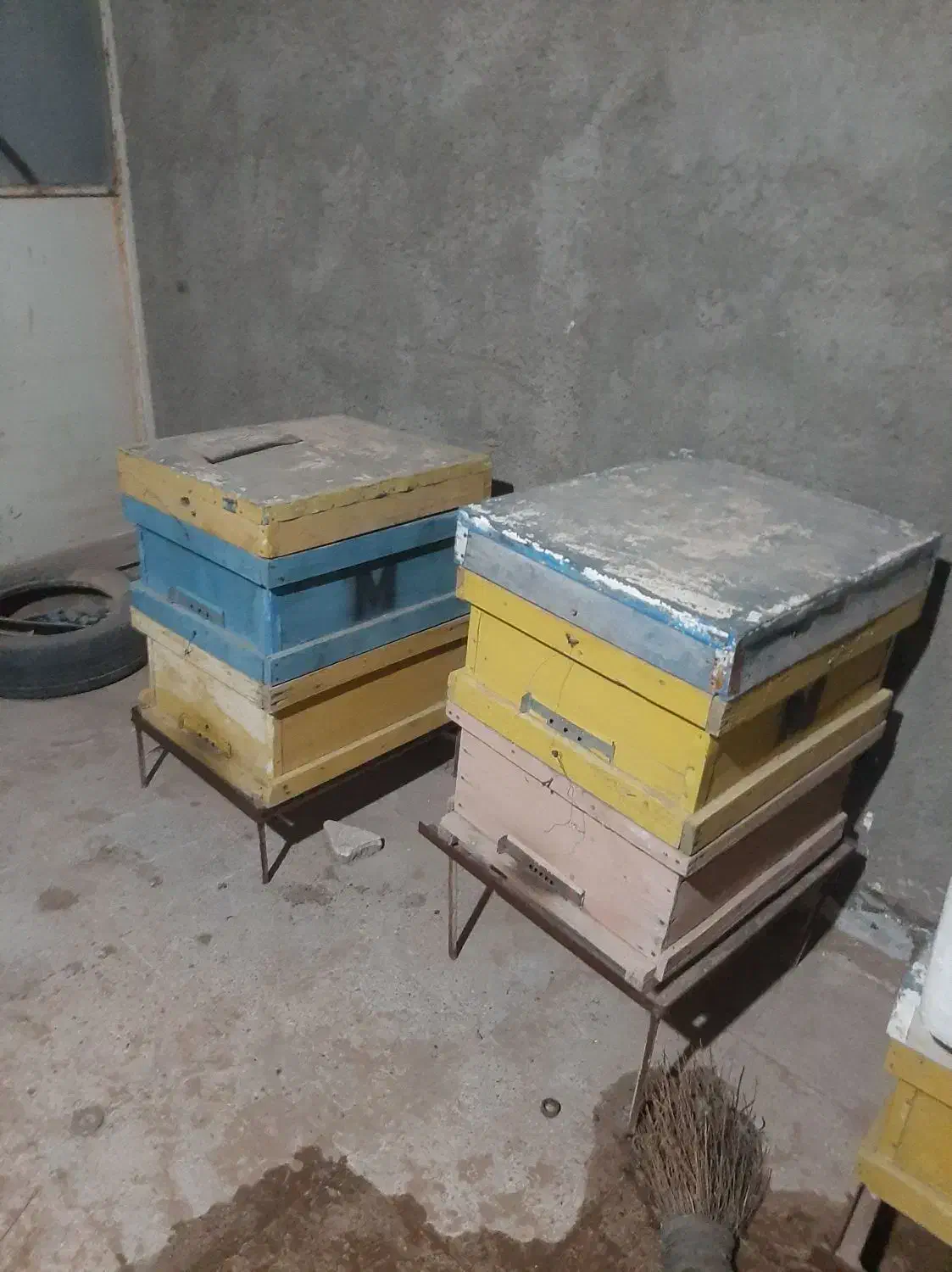 کندو|لوازم جانبی حیوانات|سبزوار, گلشن|دیوار