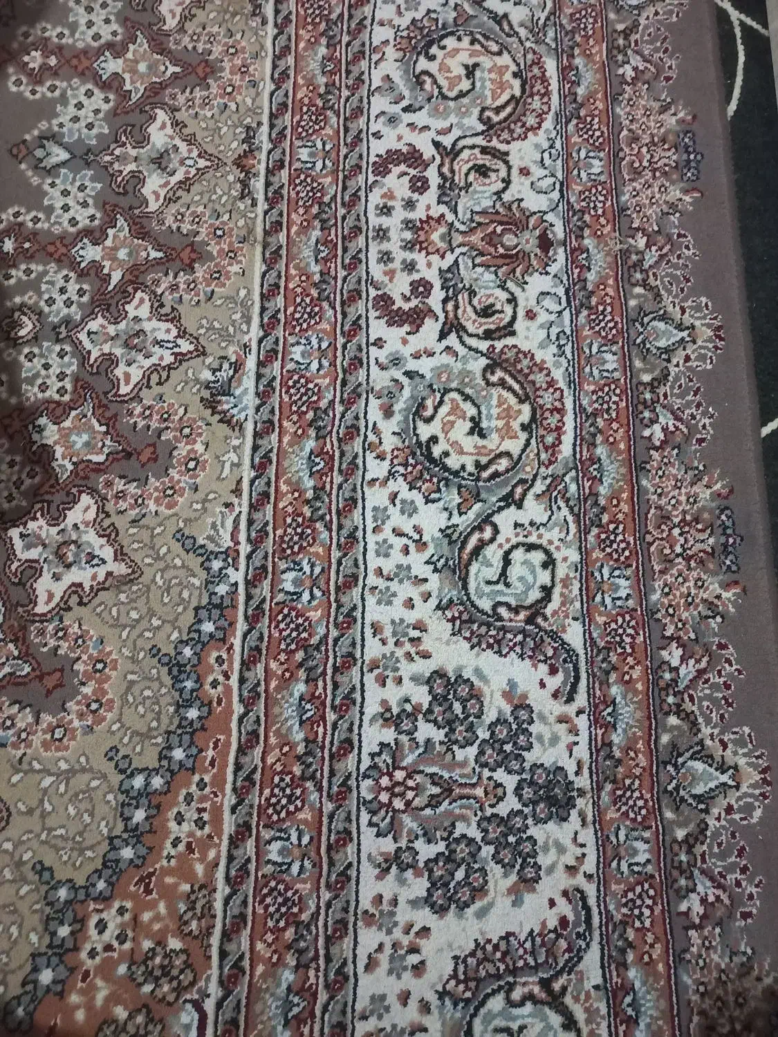 فرش ۱۲ متری|فرش|نیشابور, شهرک فرهنگیان|دیوار