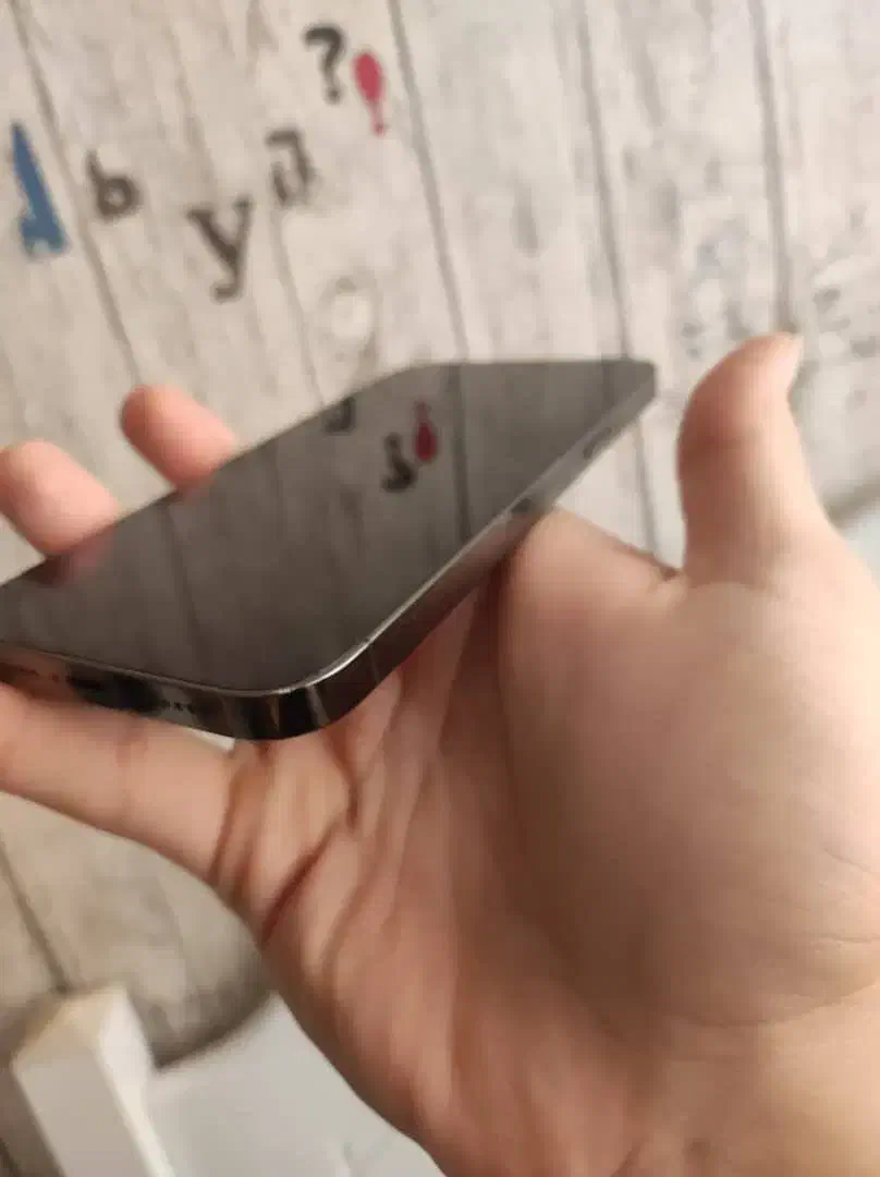 آیفون ۱۳پرومکس ا ترابایت|موبایل|اصفهان, چرخاب|دیوار