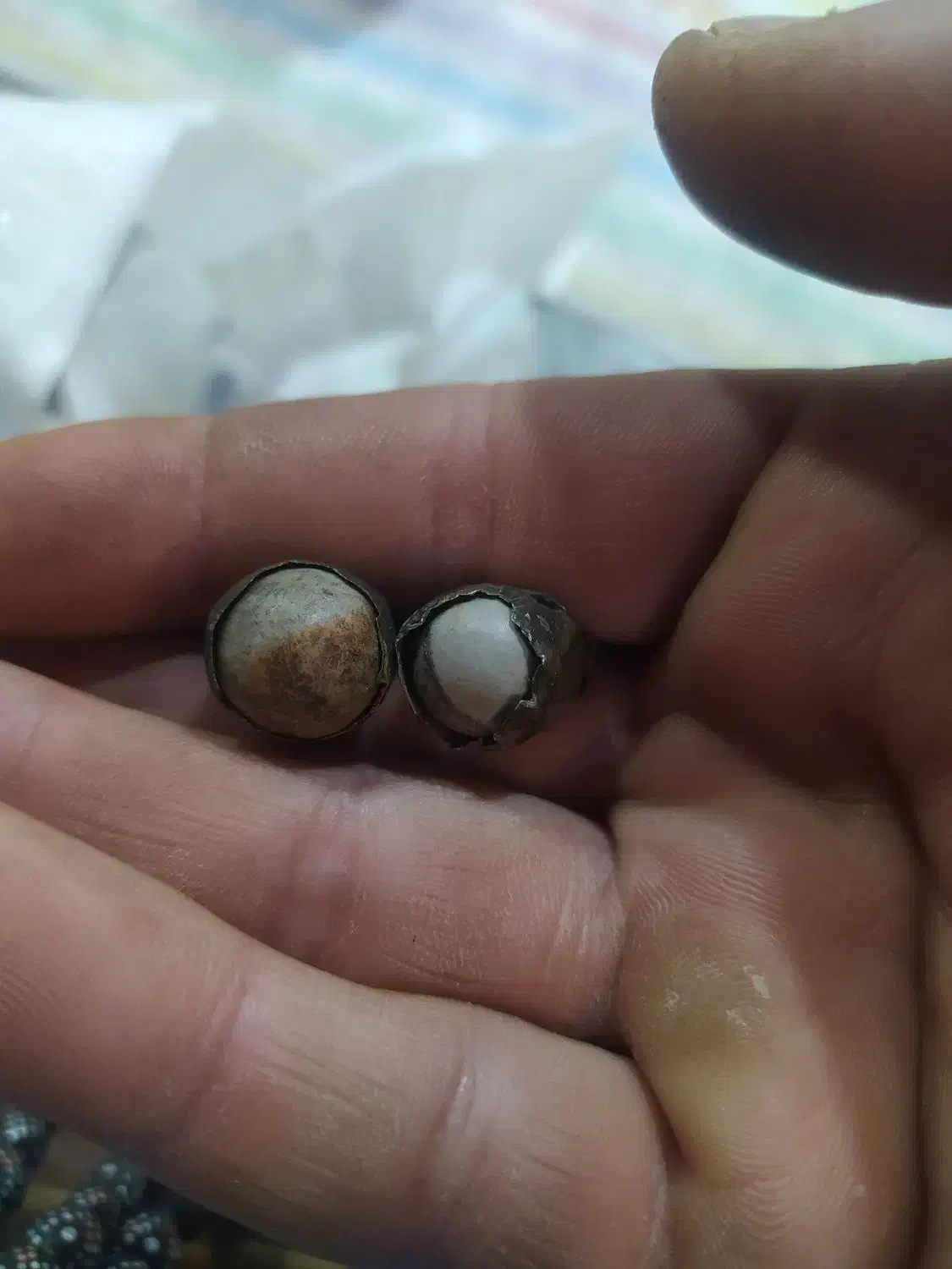 یک جفت مهره ایلامی که سمت زیگوارت چغازنبیل|جواهرات|اهواز, فرهنگ شهر|دیوار