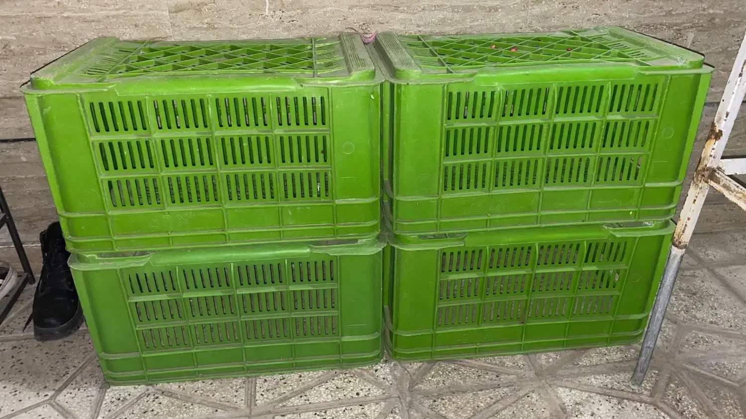 سبد|ظروف نگهدارنده، پلاستیکی، یکبارمصرف|نیشابور, ابراهیمی|دیوار