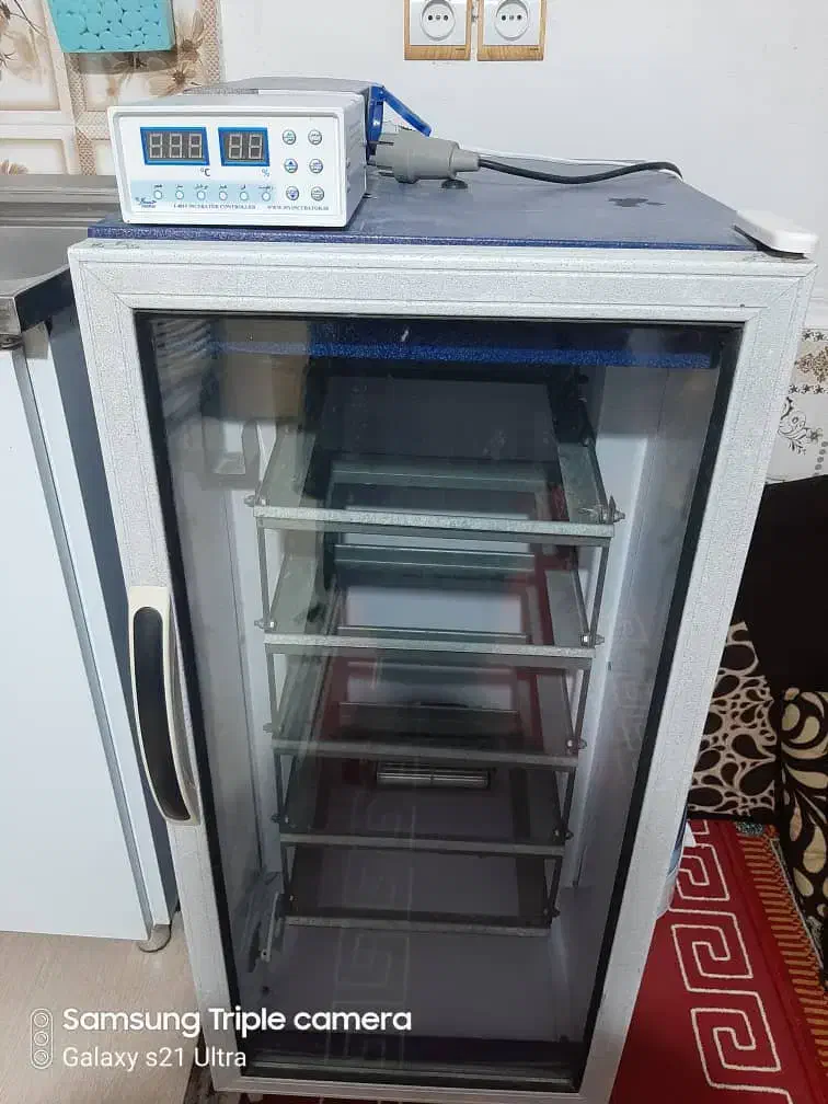 جوجه کشی|عمدهفروشی|برازجان, |دیوار