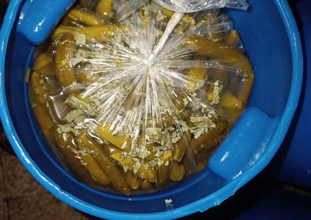 ترشی وخیارشور به صورت عمده|خوردنی و آشامیدنی|اهواز, فرهنگ شهر|دیوار