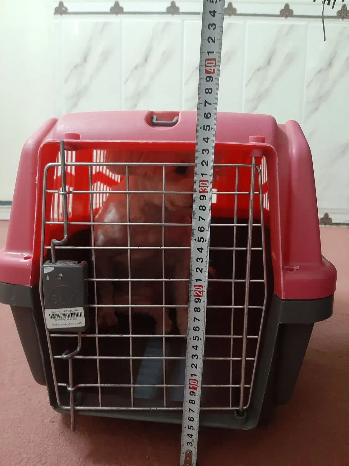 باکس سگ|لوازم جانبی حیوانات|نسیمشهر, |دیوار