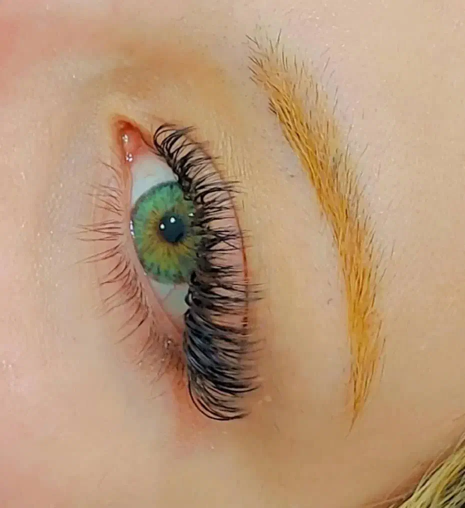 خدمات مژه واکستنشن در تایم محدود نصف قیمت|خدمات آرایشگری و زیبایی|یاسوج, |دیوار