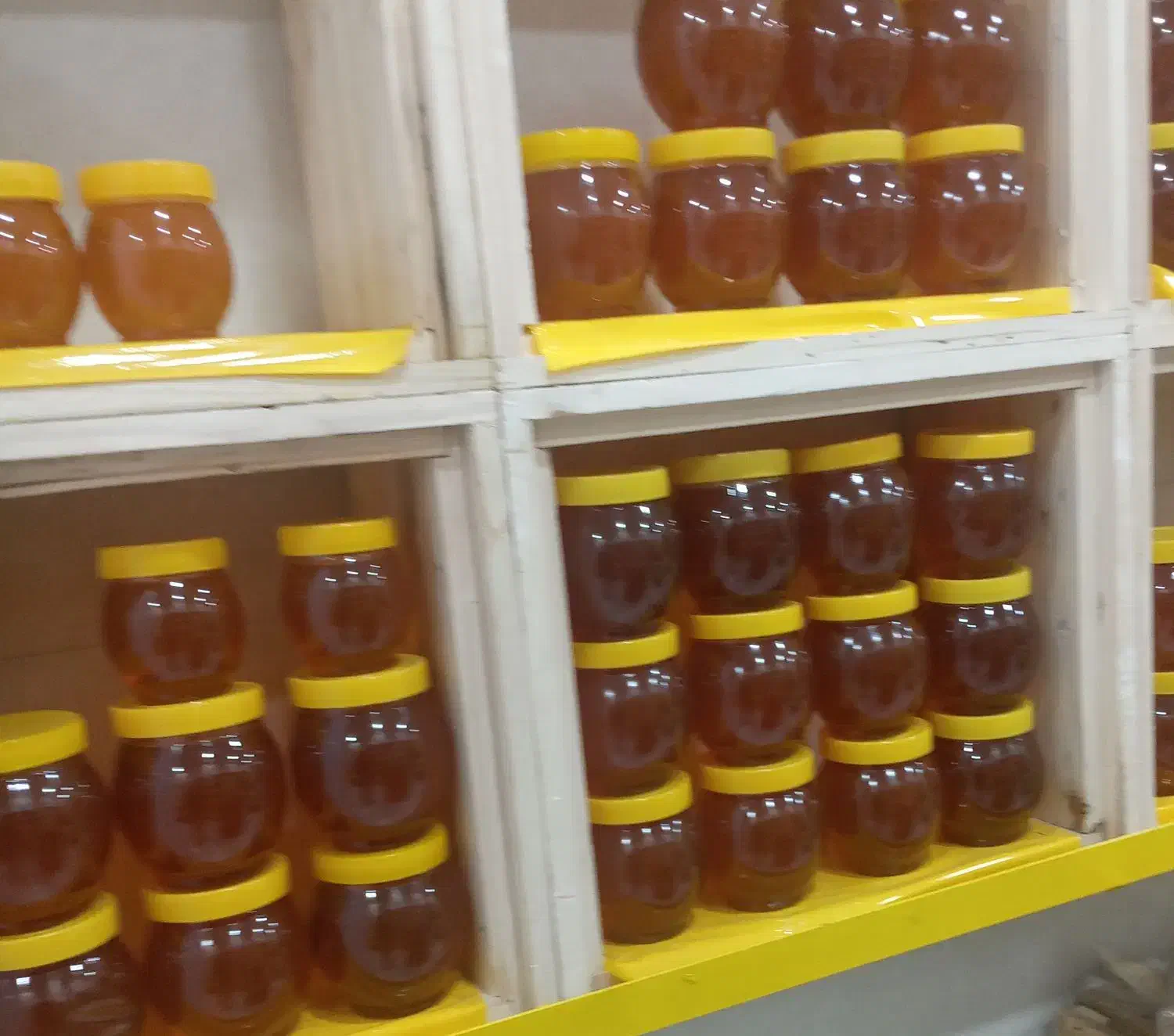 پخش عسل|فعالیت داوطلبانه تحقیقاتی|همدان, |دیوار