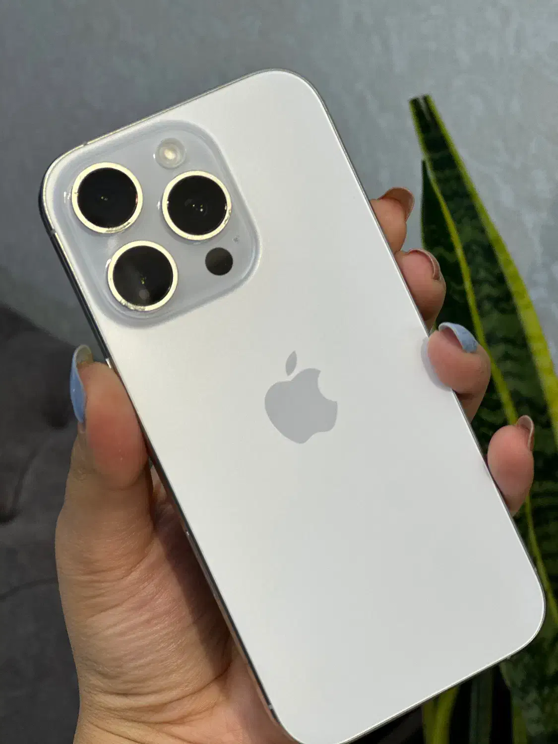 ۱۶ پرو ریجستربدون پیش ویژه بازنشستگان تامین اجتما|موبایل|اصفهان, احمدآباد|دیوار