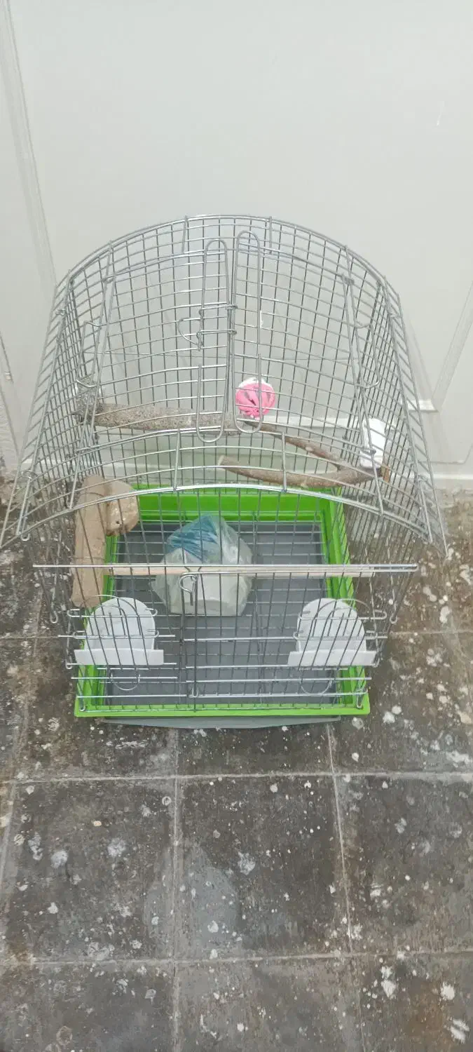 قفس پرنده|لوازم جانبی حیوانات|تهران, سیروس|دیوار