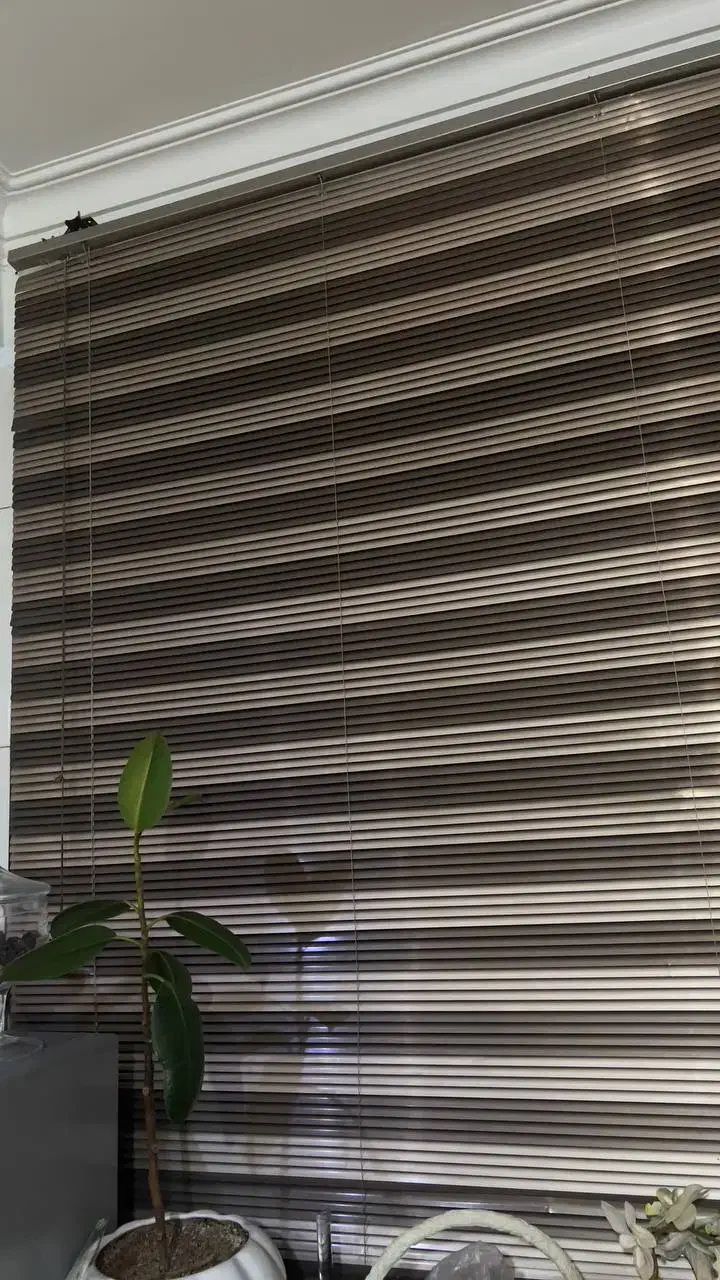 پرده زبرا آلومنیومی|پرده، رانر، رومیزی|تهران, استقلال|دیوار