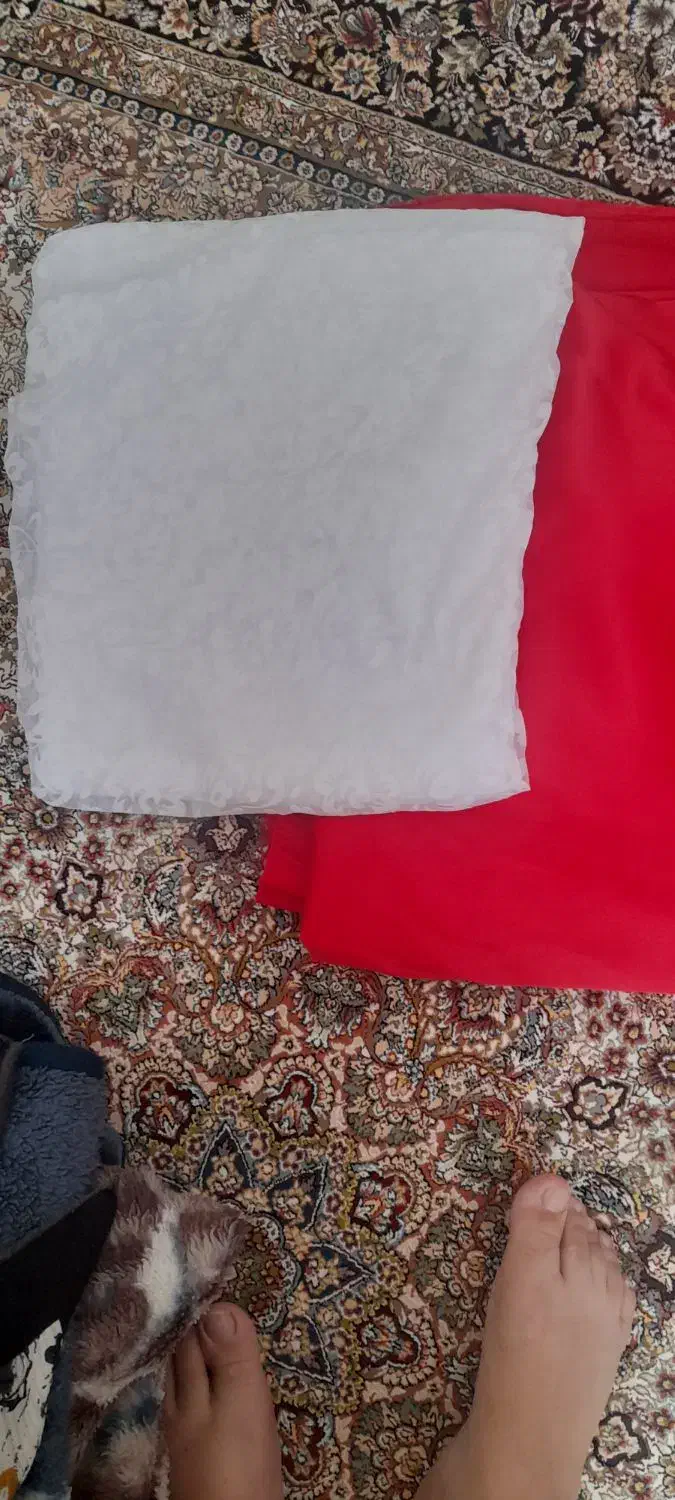 پارچه مجلسی زنانه|لباس|بابل, |دیوار