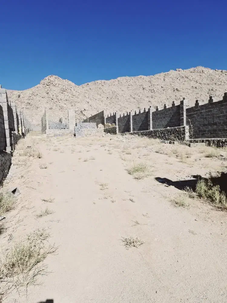 600متر زمین نیر|فروش زمین و ملک کلنگی|نیر (یزد), |دیوار