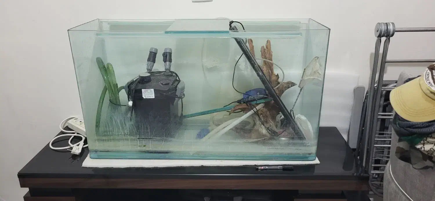 آکواریم سایز بزرگ|ماهی|قروه, |دیوار