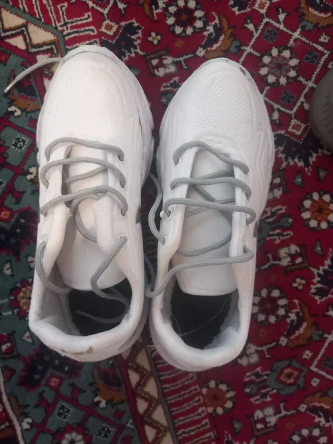 کتونی|کیف، کفش، کمربند|رشت, دیلمان|دیوار