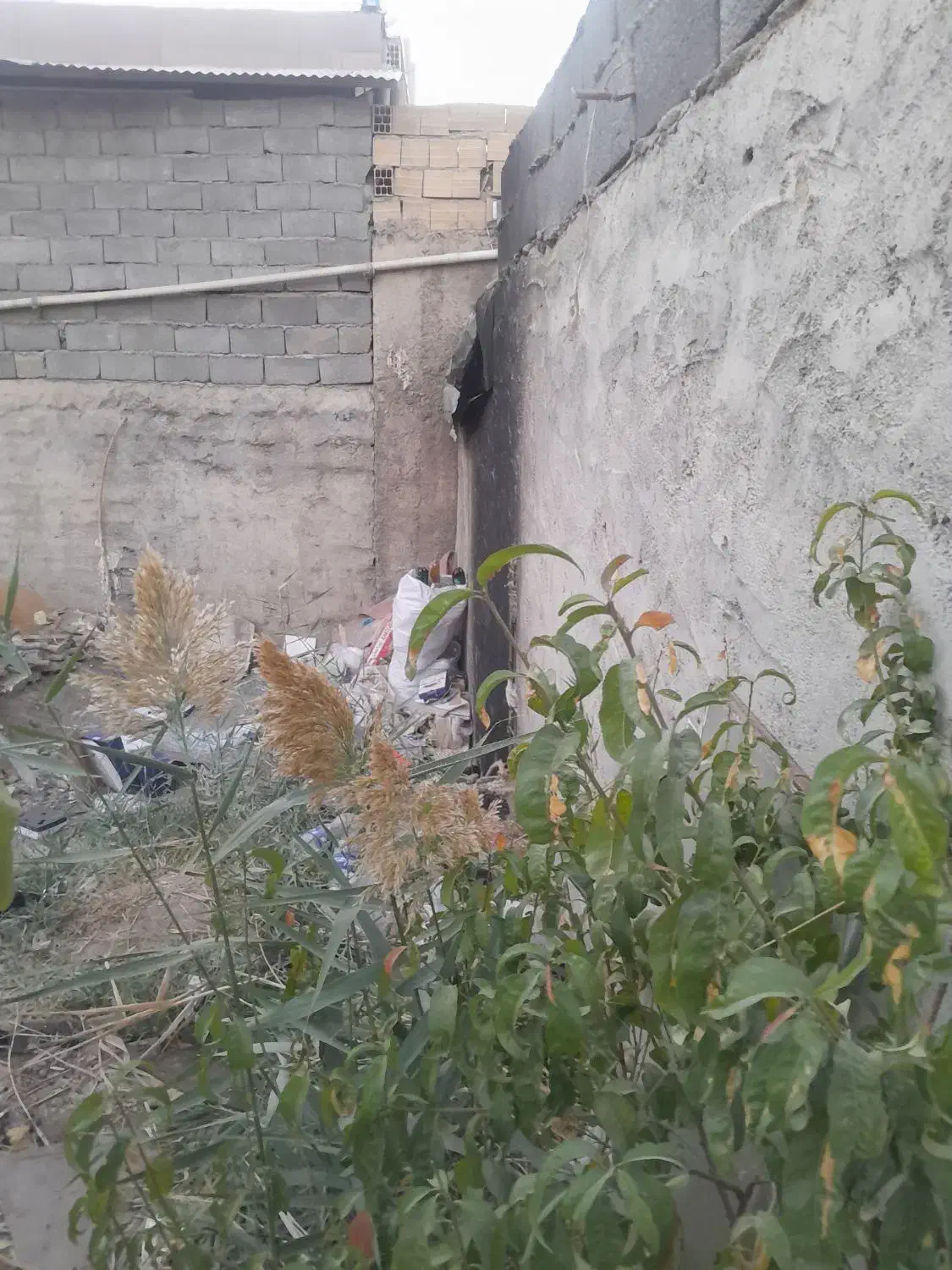 فروش زمین|فروش زمین و ملک کلنگی|محمدشهر, عباس آباد|دیوار