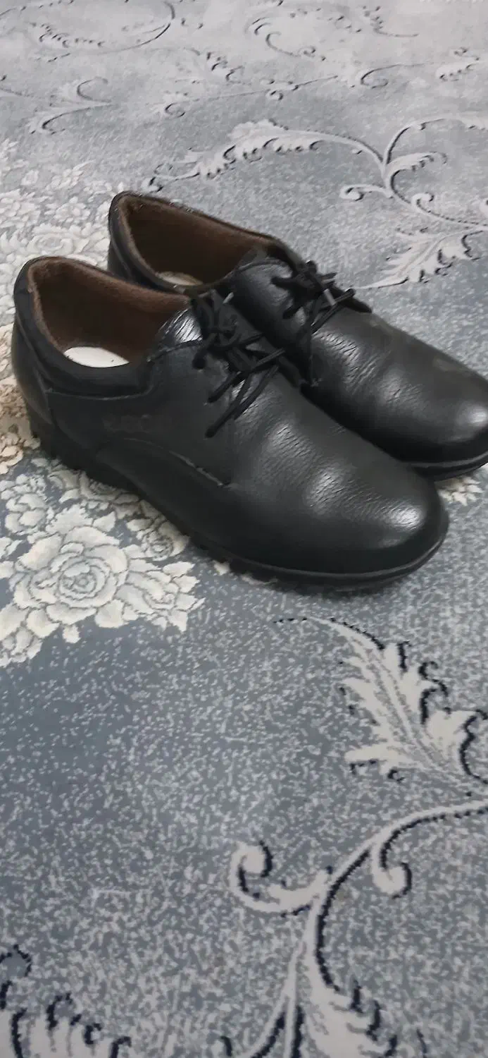 کفش سایز ۴۱|کیف، کفش، کمربند|باقرشهر, |دیوار