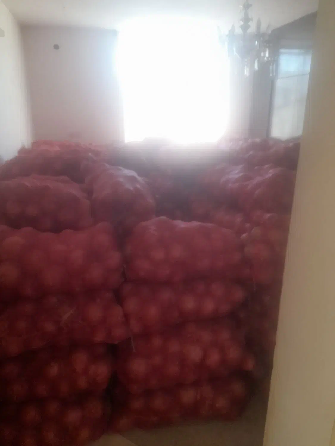 پیاز فلات|عمده‌فروشی|بجنورد, |دیوار